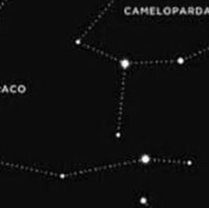 Meet your Posher, Marya